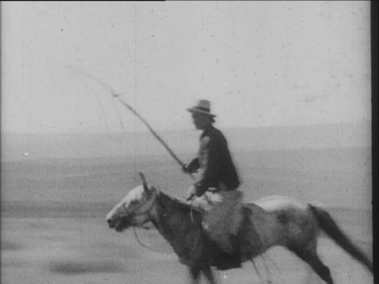 282545702 / Propaleotherium Parvulum / Mongolian Horse / Mongolia