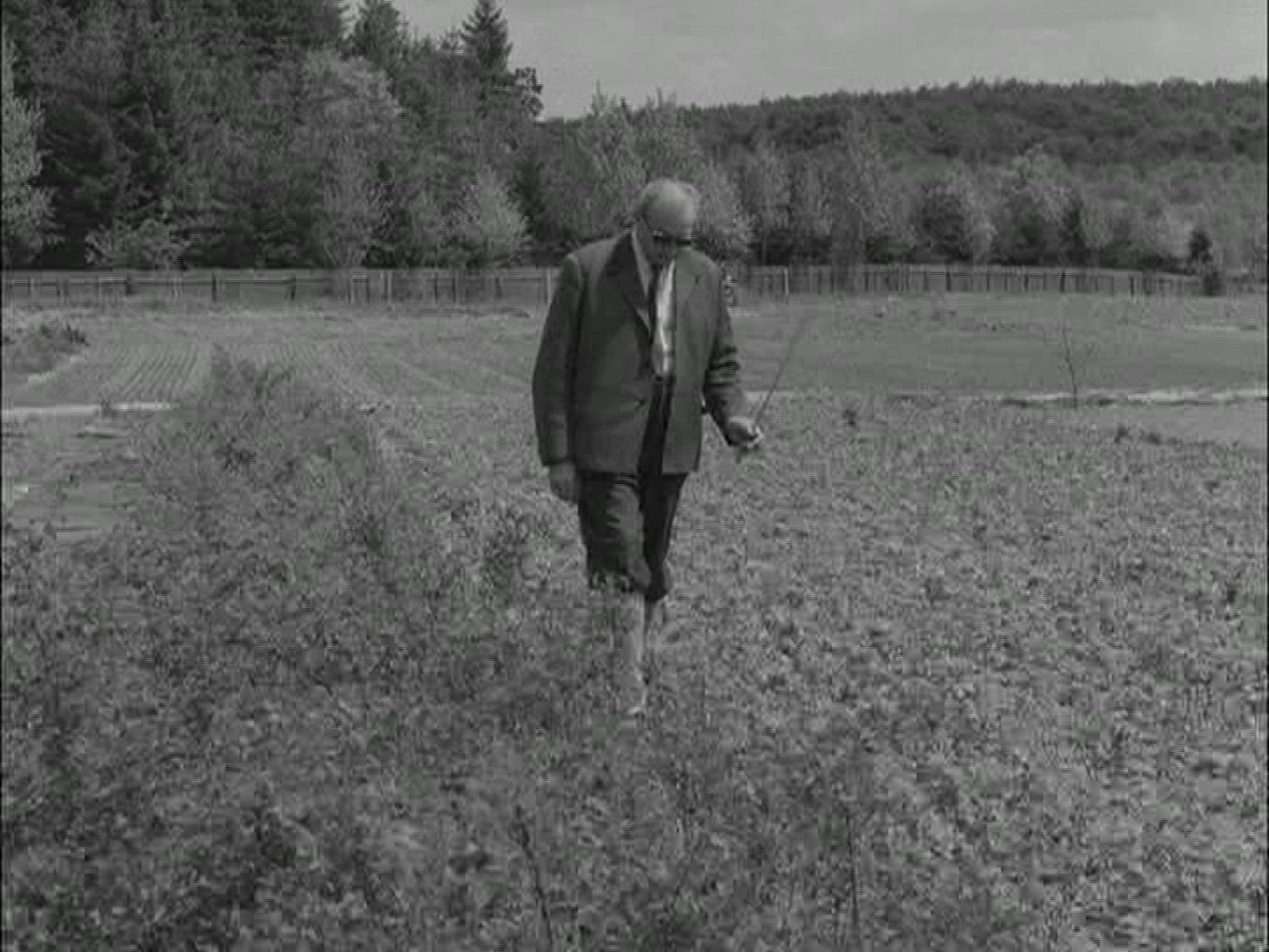 590311470 / Agribusiness / Germany / 1950-1959