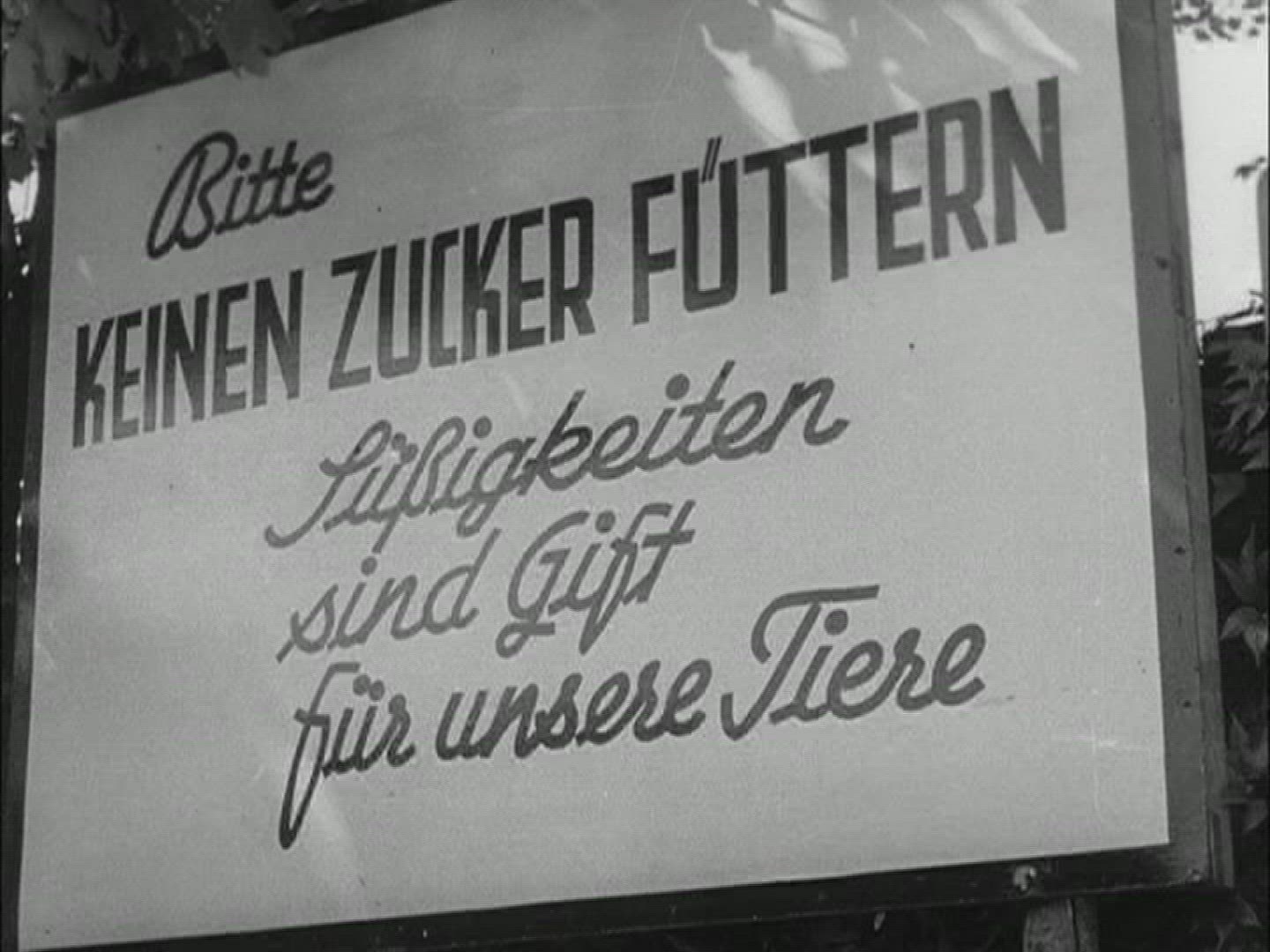 466507365 / Zoo / Berlin / Germany / 1957