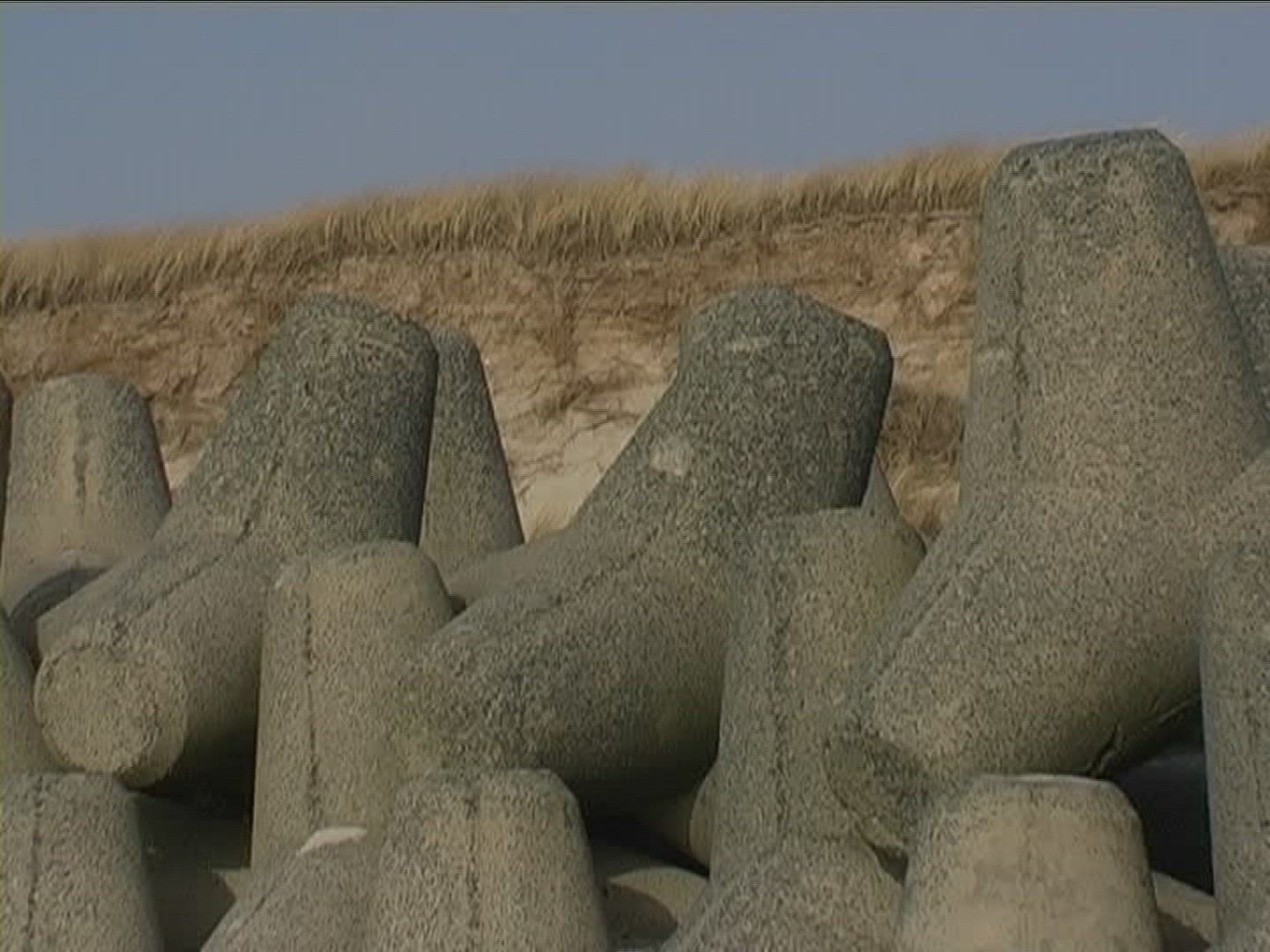 136421079 / Coastal Protection / Sylt / Germany