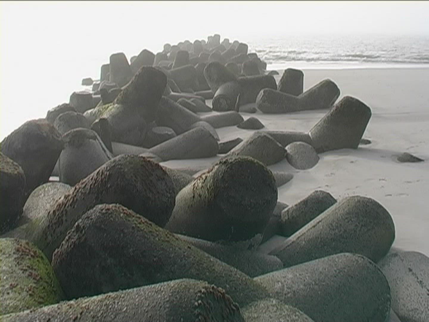 991444671 / Coastal Protection / Sylt / Germany