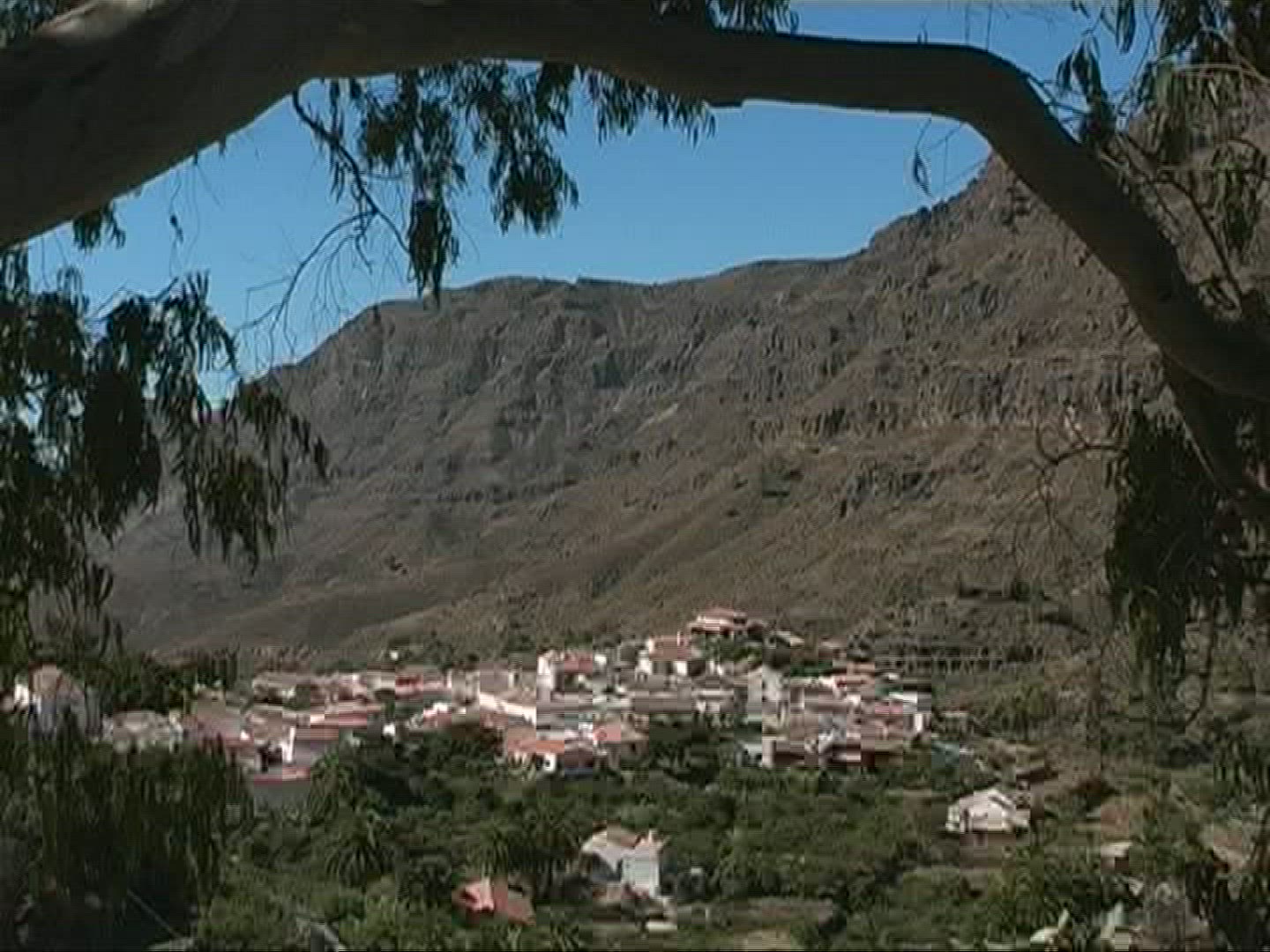 723237706 / Settlement / Canary Islands