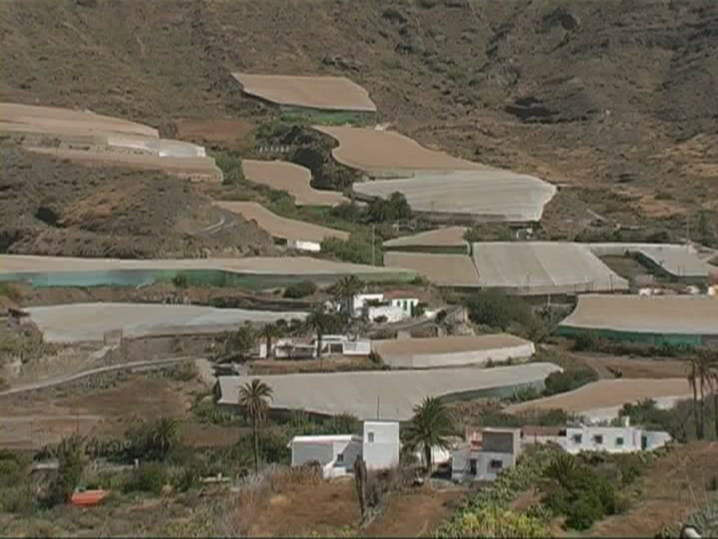 219825130 / Settlement / Canary Islands
