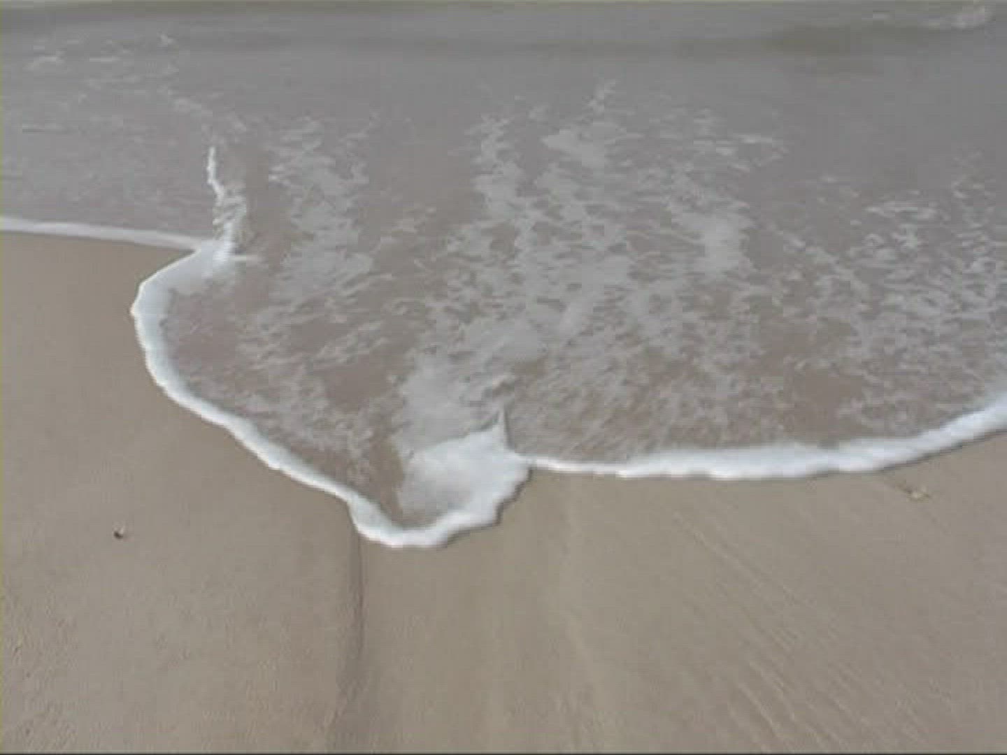 306800836 / Surf / Sylt / North Sea / Germany