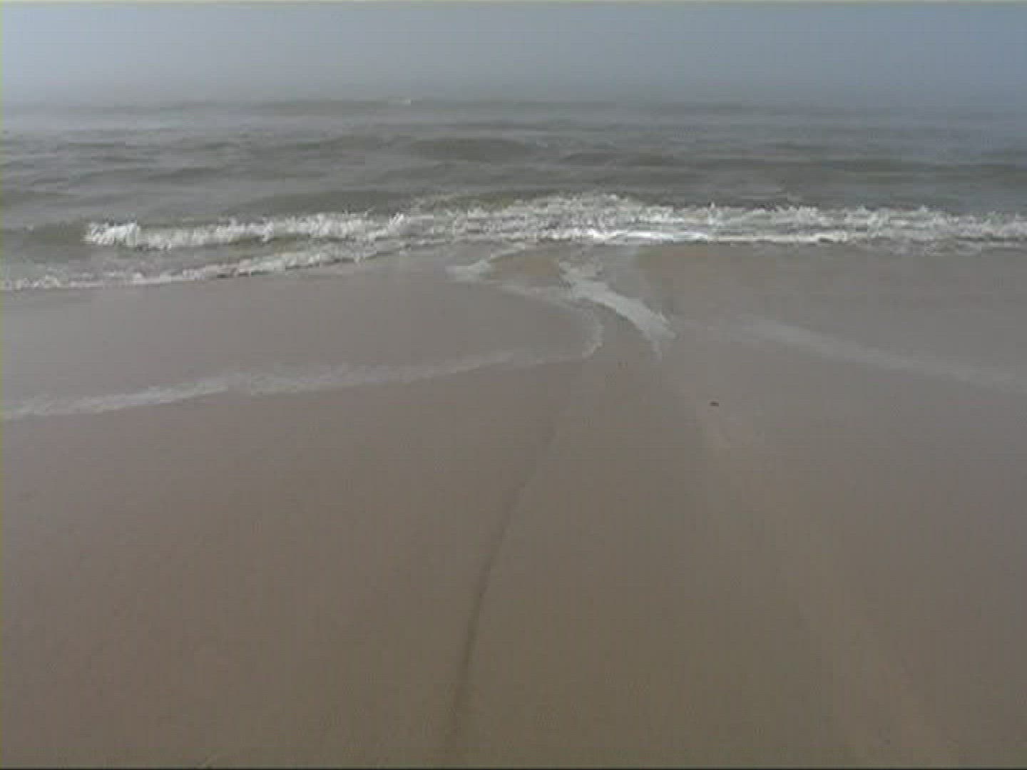 836031886 / Surf / Sylt / North Sea / Germany