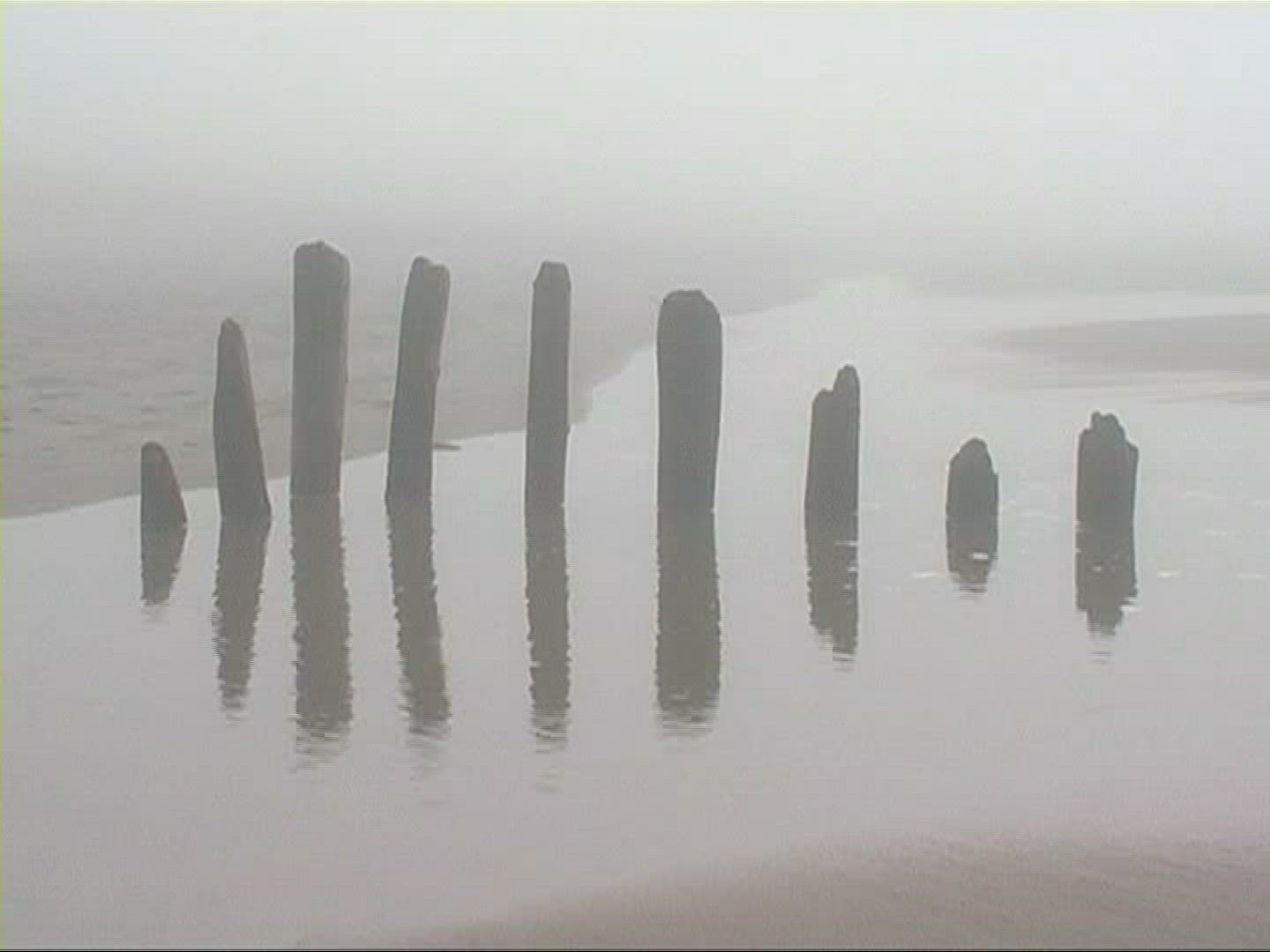 245942046 / Surf / Sylt / North Sea / Germany