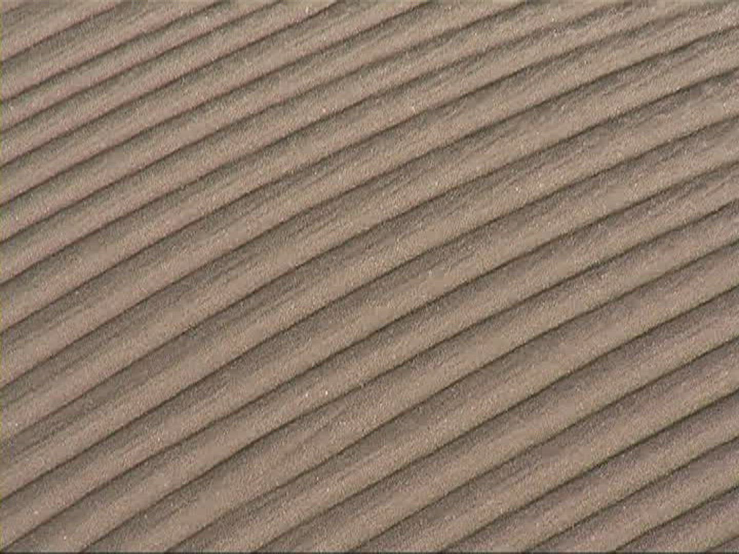 461698354 / Dune / Coast / Canary Islands