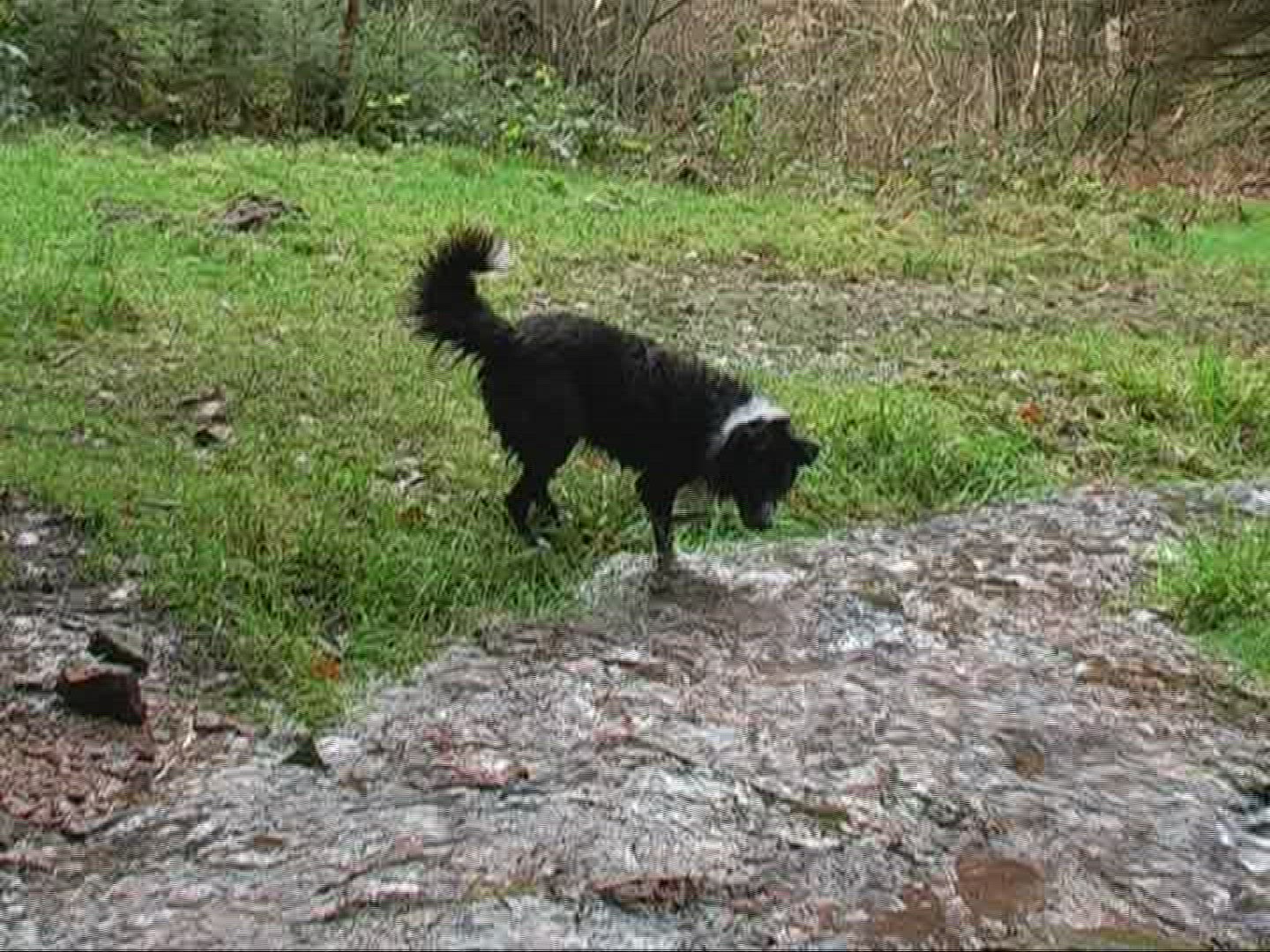 622967497 / Stream / Spessart / Germany