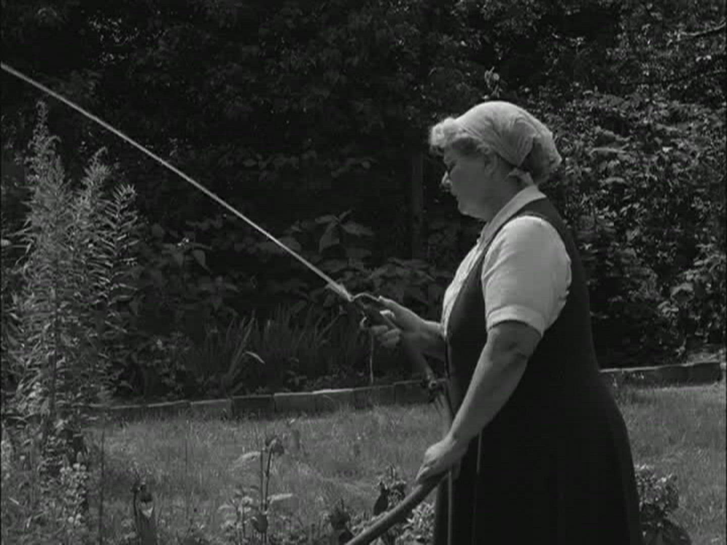 184180508 / Water Supply / Germany / 1950-1959