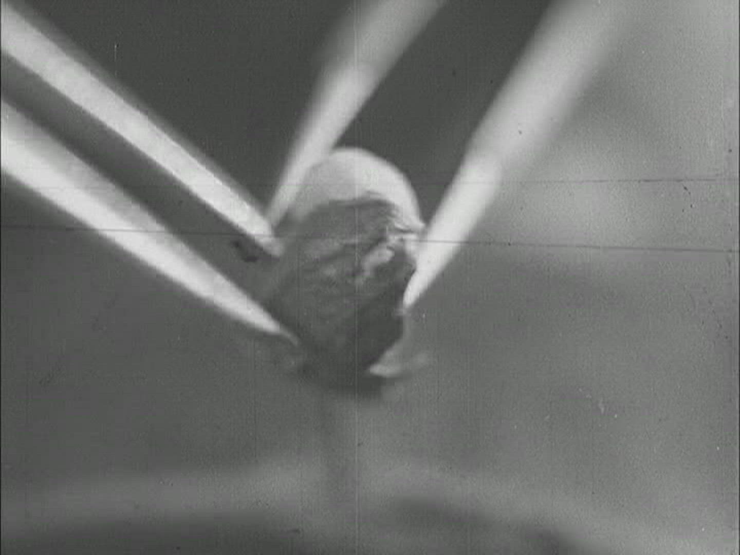 825951515 / Coffee Bean / Food Processing / 1950-1959
