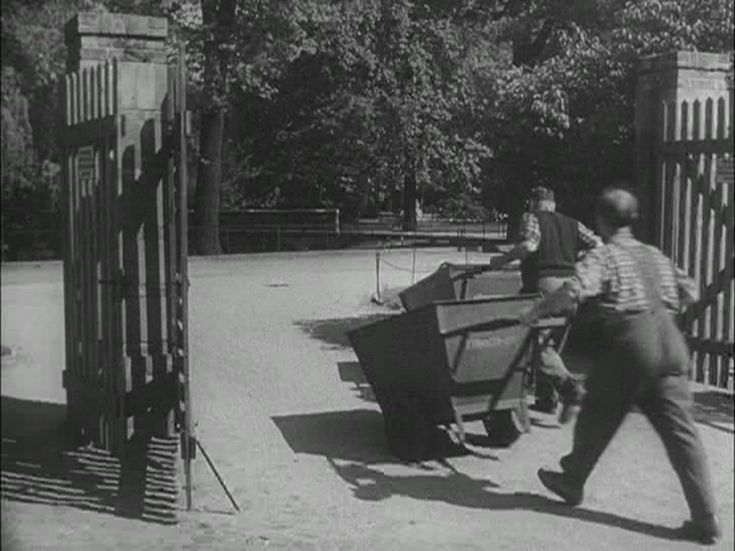 233657147 / Zoo / Berlin / Germany / 1957-1958