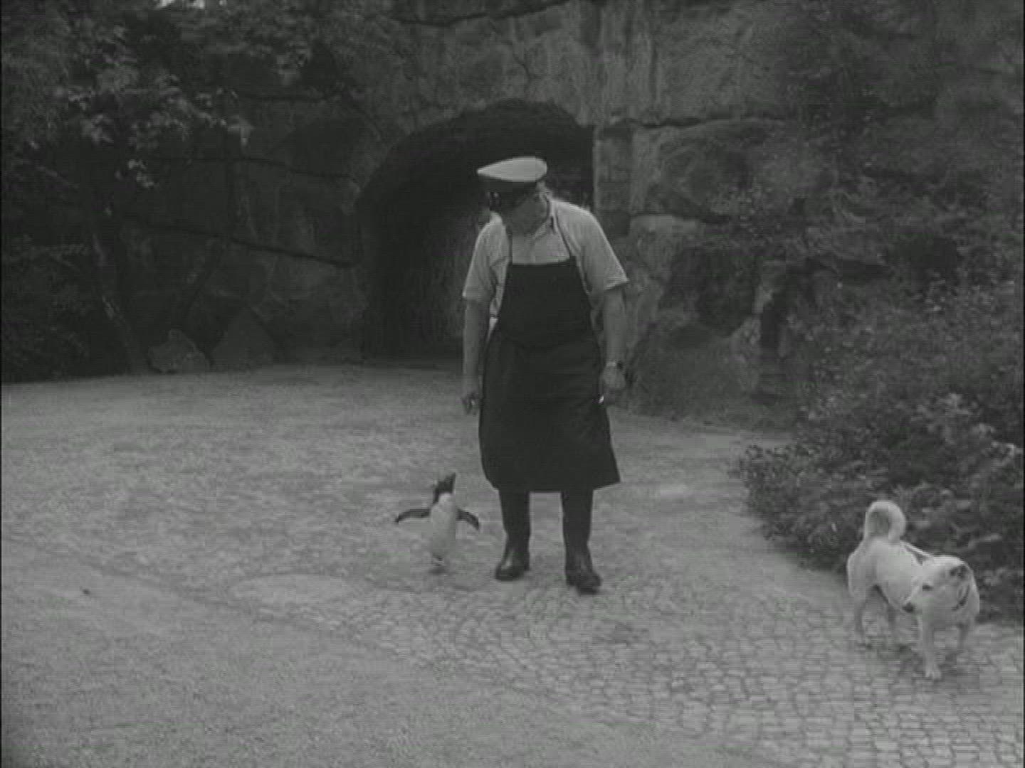 745511896 / Zoo / Berlin / Germany / 1957-1958