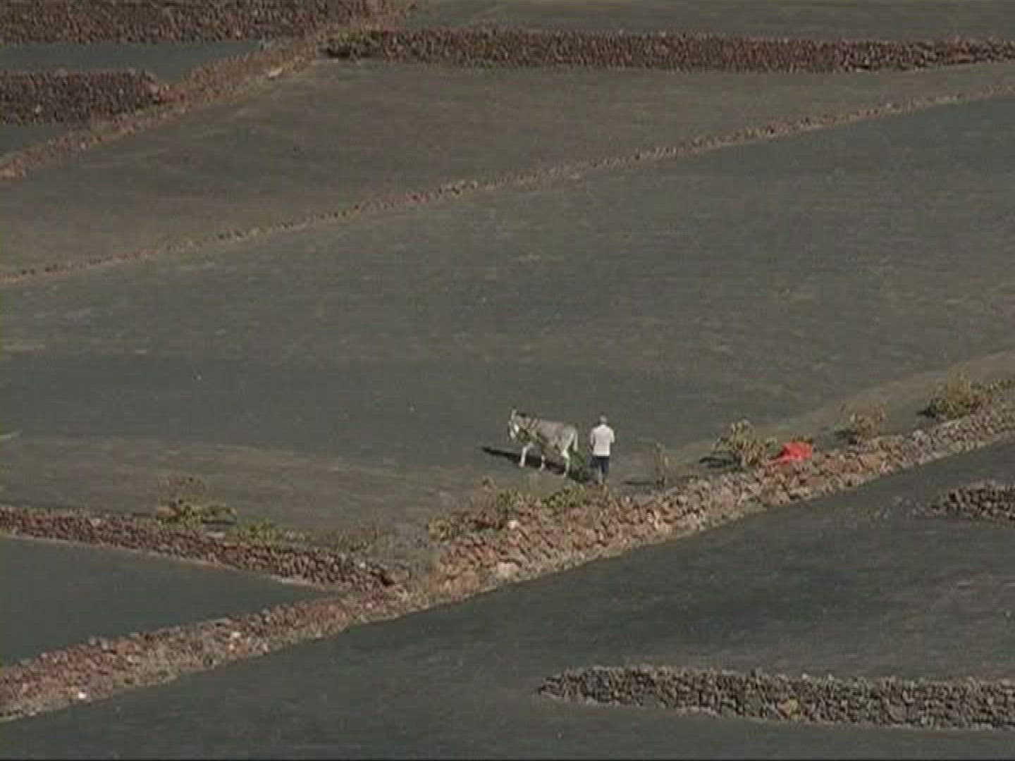 389860151 / Terrace / Field / Lanzarote