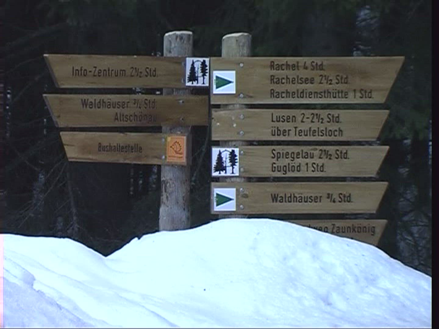 987588450 / Winter / Bavarian Forest / Bavaria / Germany
