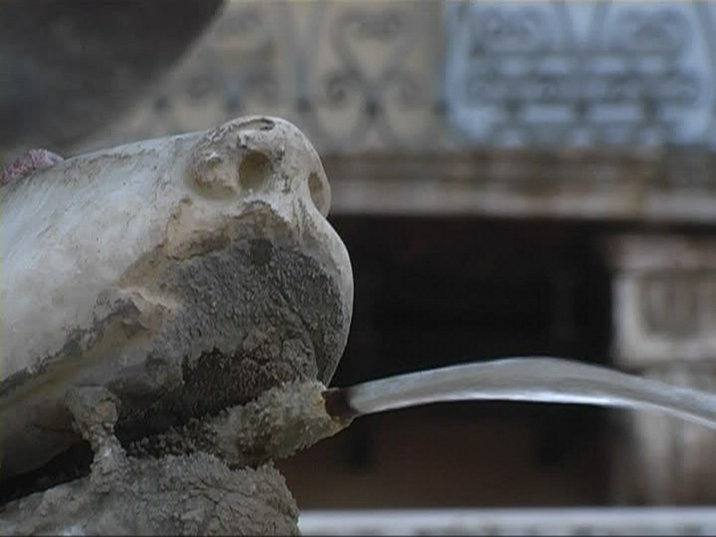 782374481 / Pigeon / Drinking / Water Jet / Germany