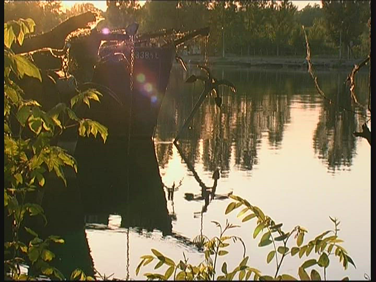 897869207 / Plant / Landscape / Hungary