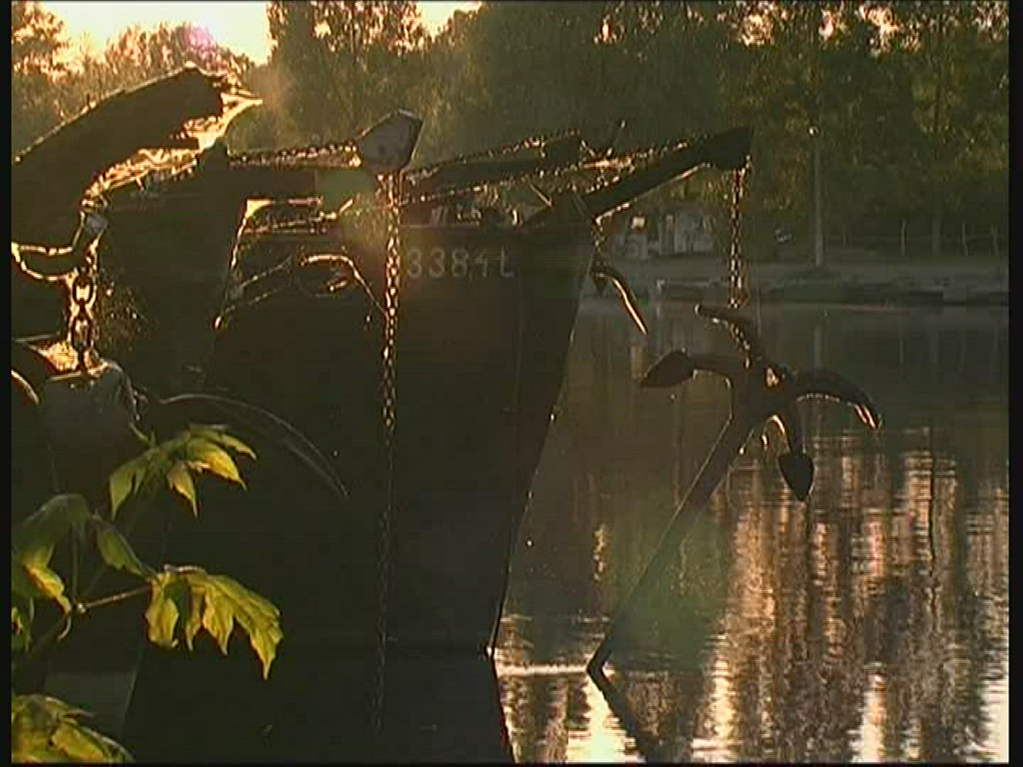 955187297 / Plant / Landscape / Hungary