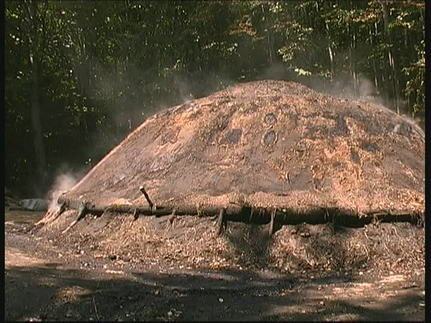 450044300 / Charcoal Pile / Bükk National Park / Hungary