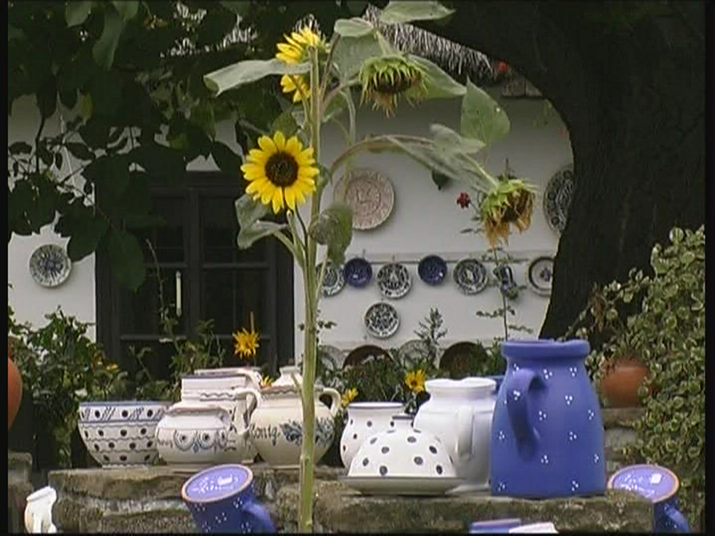 263254984 / Crockery / Dishes / Tihany / Hungary