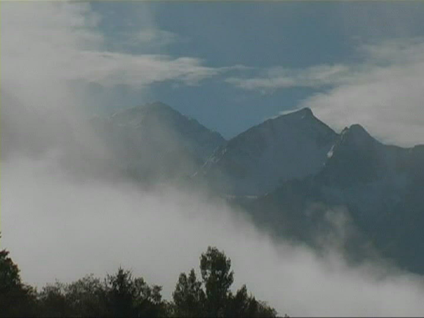 523387581 / Fog / Tree / Austria