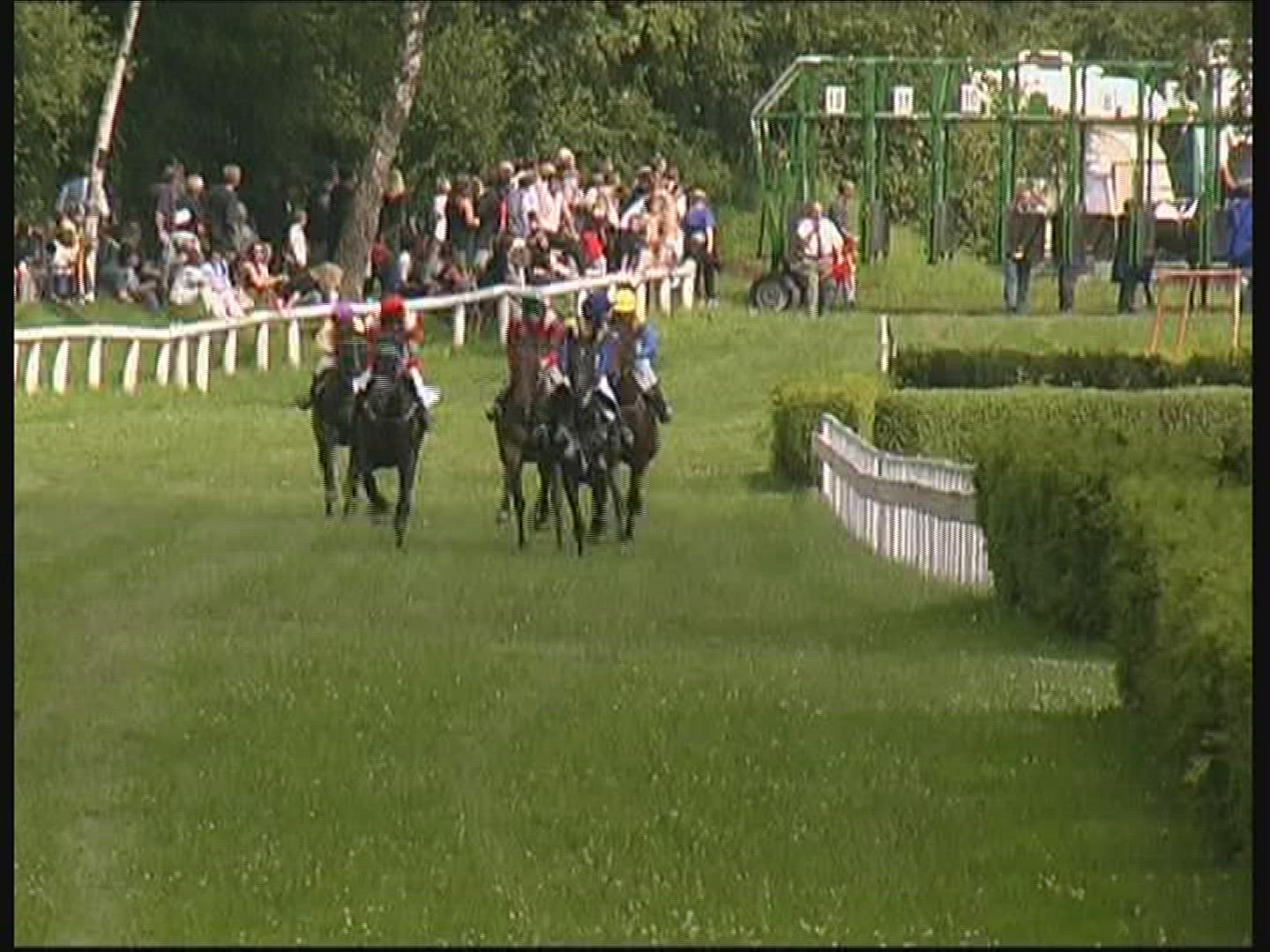 275438597 / Galopp Horse Racing / Hessen / Germany