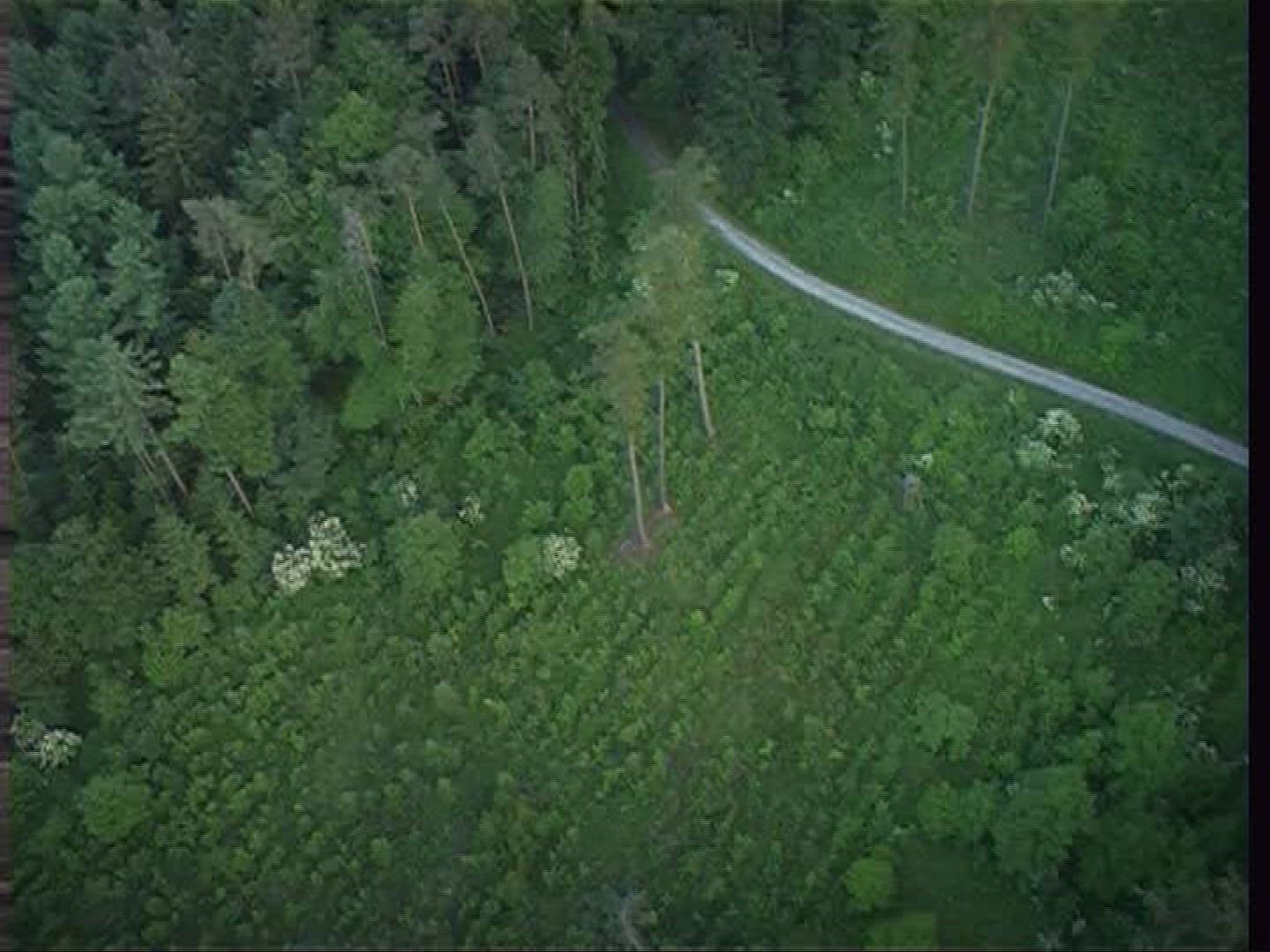 805100073 / Odenwald / Hessen / Germany / Aerial