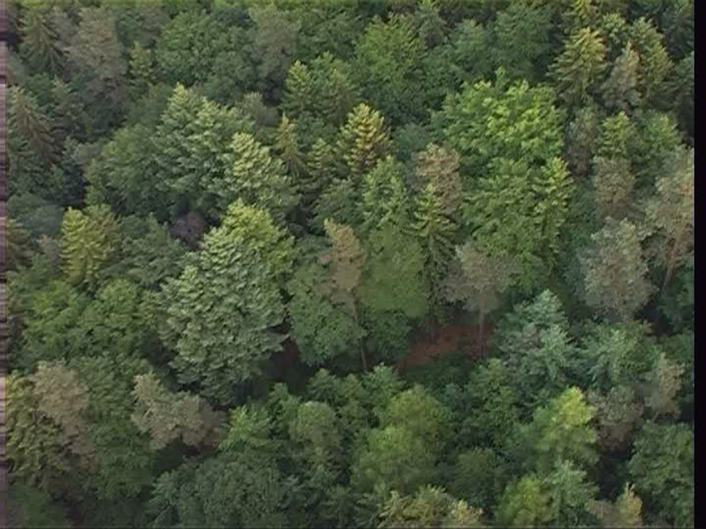 796121861 / Odenwald / Hessen / Germany / Aerial