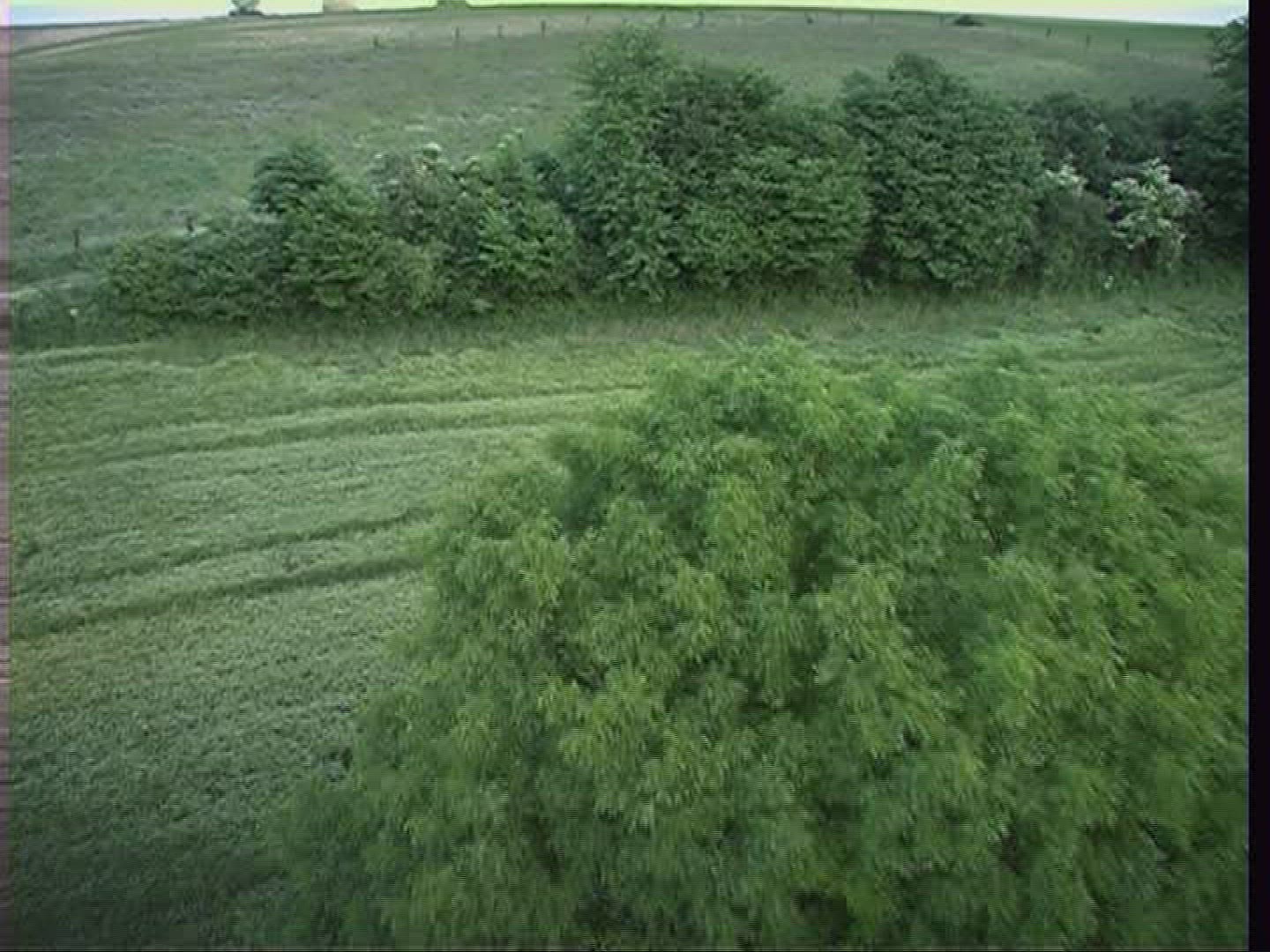 500295623 / Landscape / Hessen / Germany / Aerial