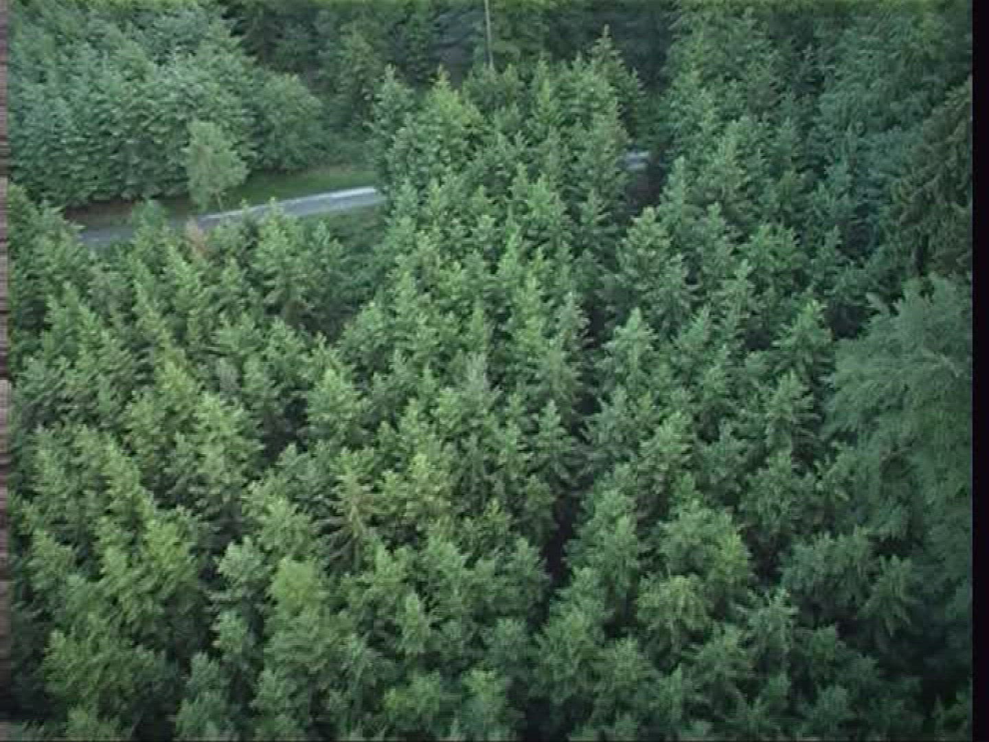 822681613 / Landscape / Hessen / Germany / Aerial