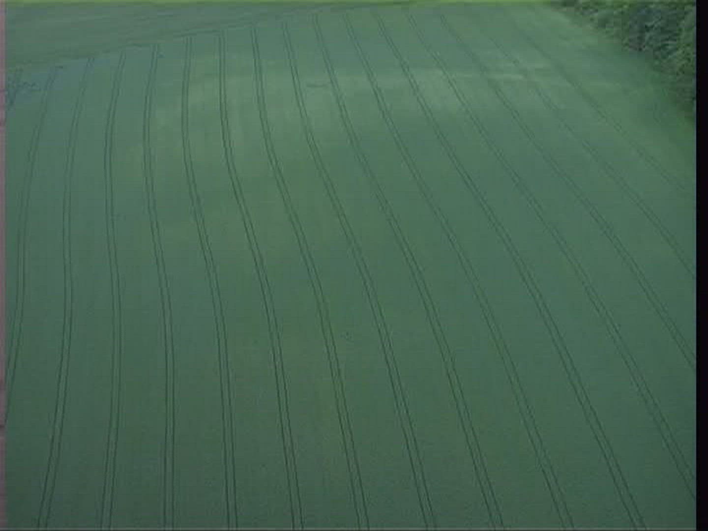 466882020 / Landscape / Hessen / Germany / Aerial