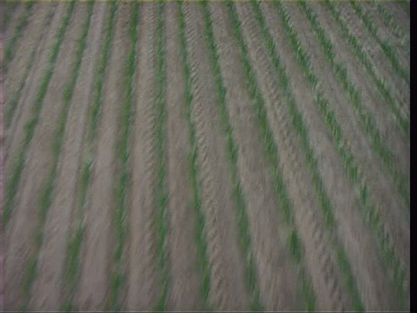 457580511 / Landscape / Hessen / Germany / Aerial