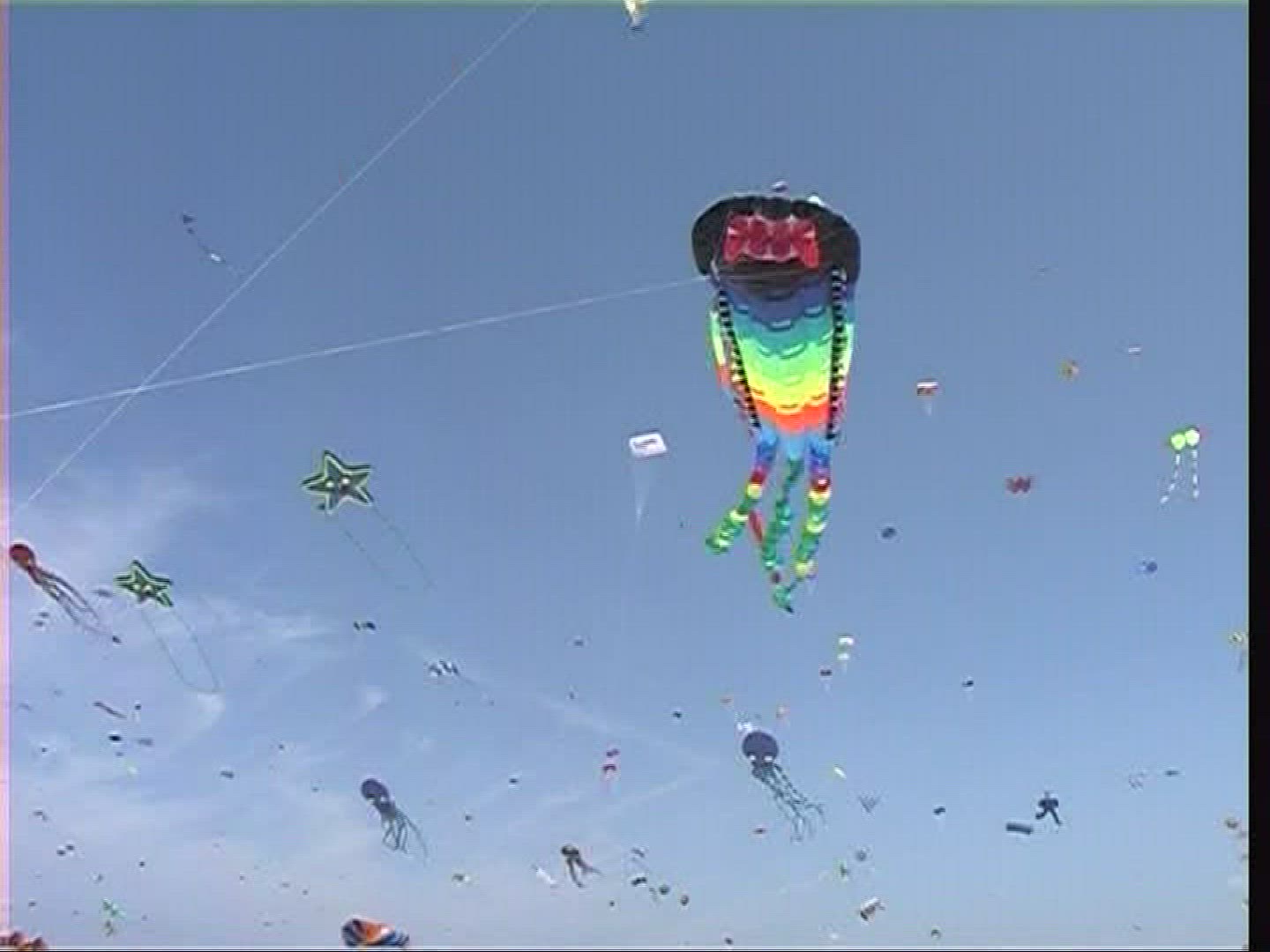 917585624 / Kite / Fanoe / Denmark