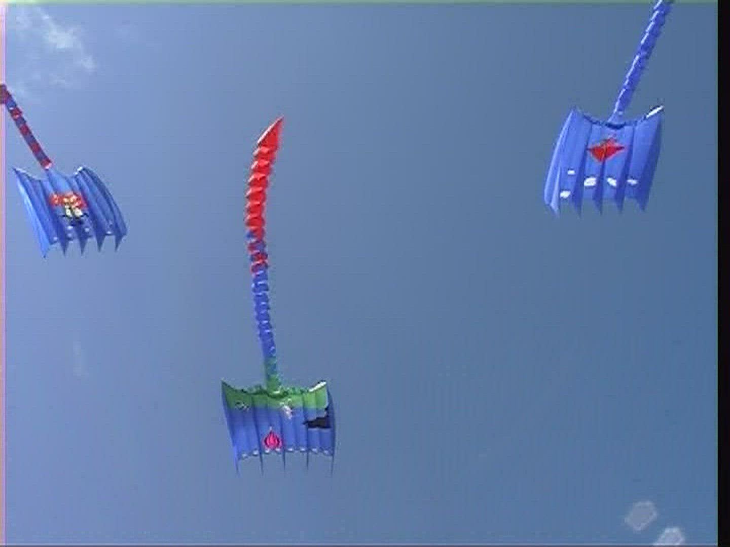 824542735 / Kite / Fanoe / Denmark