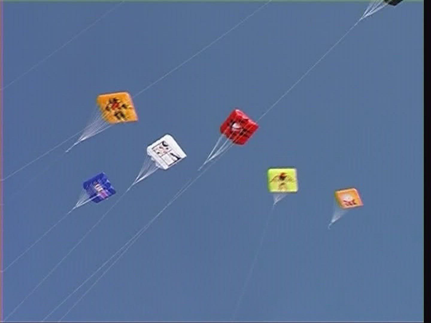257513644 / Kite / Fanoe / Denmark