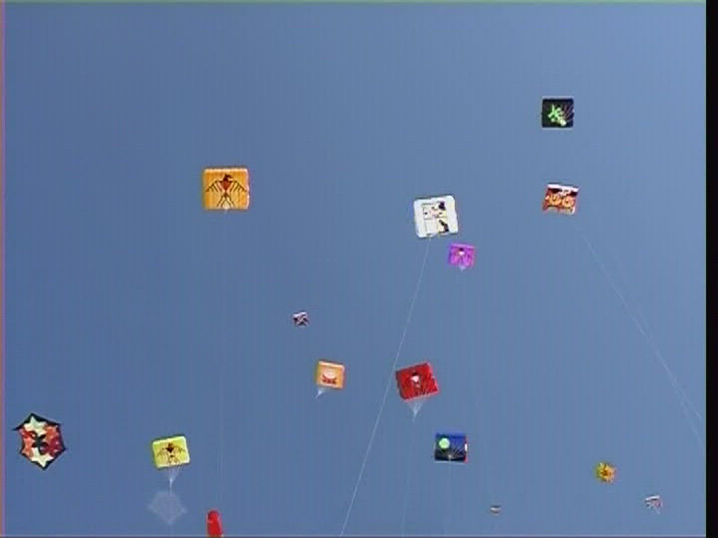 764028359 / Kite / Fanoe / Denmark