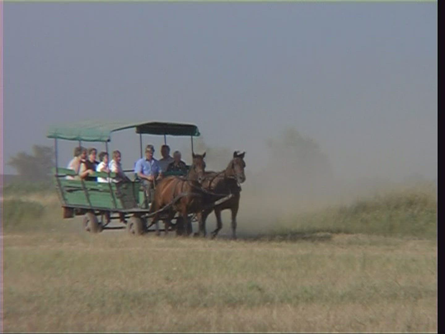 232018684 / Coach / Cart / Puszta / Hungary