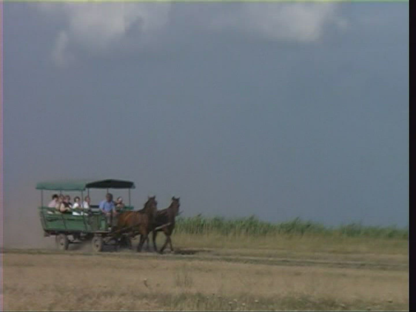 851582569 / Coach / Cart / Puszta / Hungary