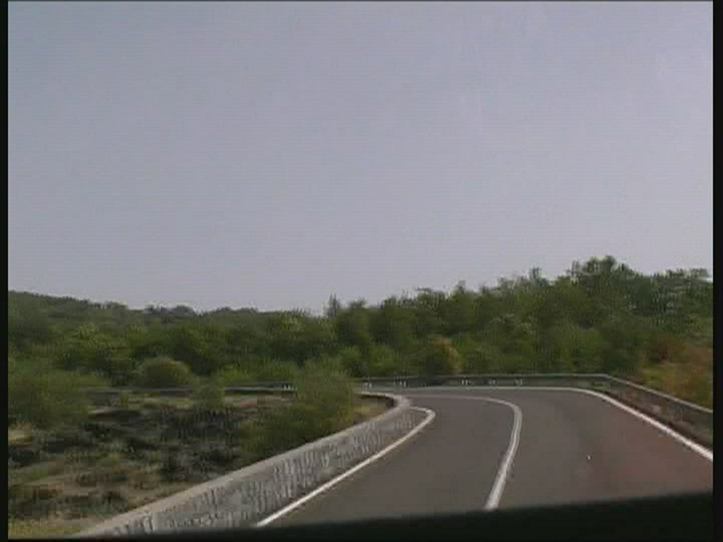 902994445 / Country Road / Broom / Sicily / Italy