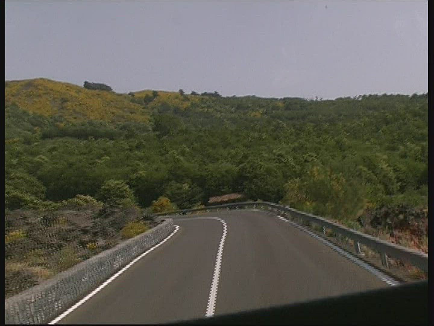 544367803 / Country Road / Broom / Sicily / Italy