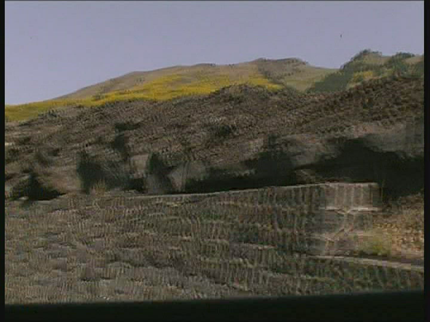 209525908 / Country Road / Broom / Sicily / Italy