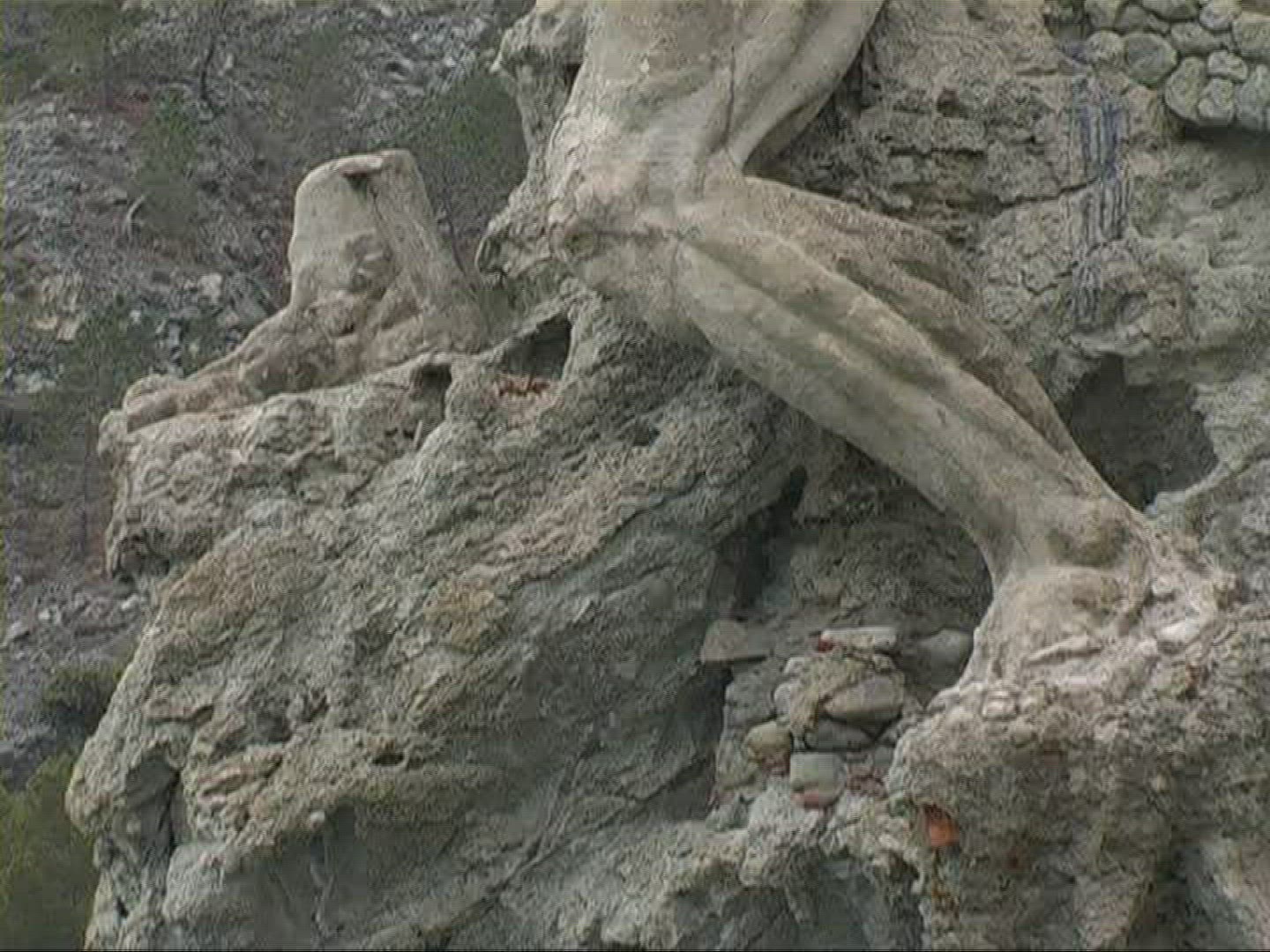 485567627 / Sculpture / Monterosso al Mare / Liguria / Italy