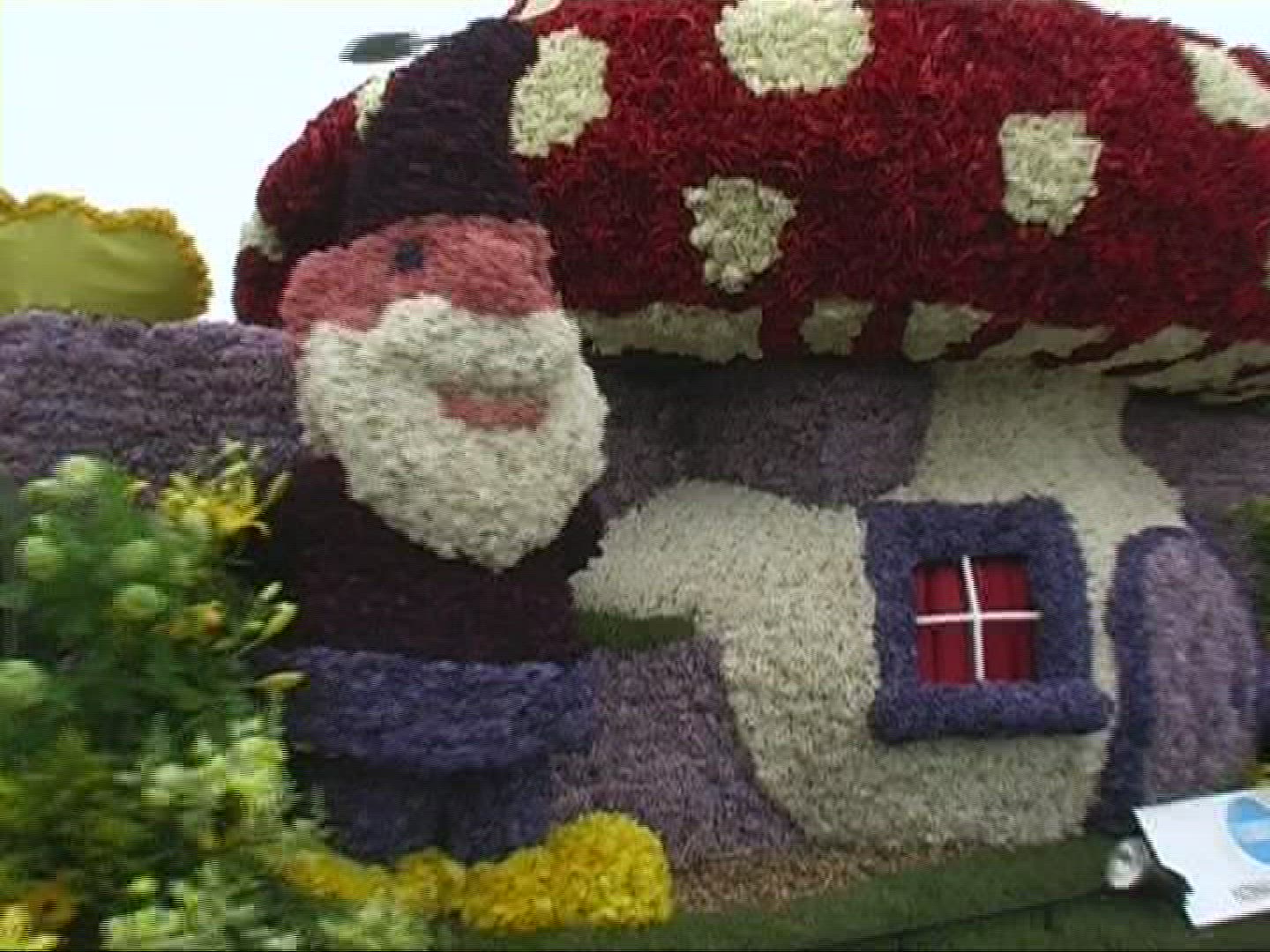 915562593 / Flower / Floral Decorations / Netherlands