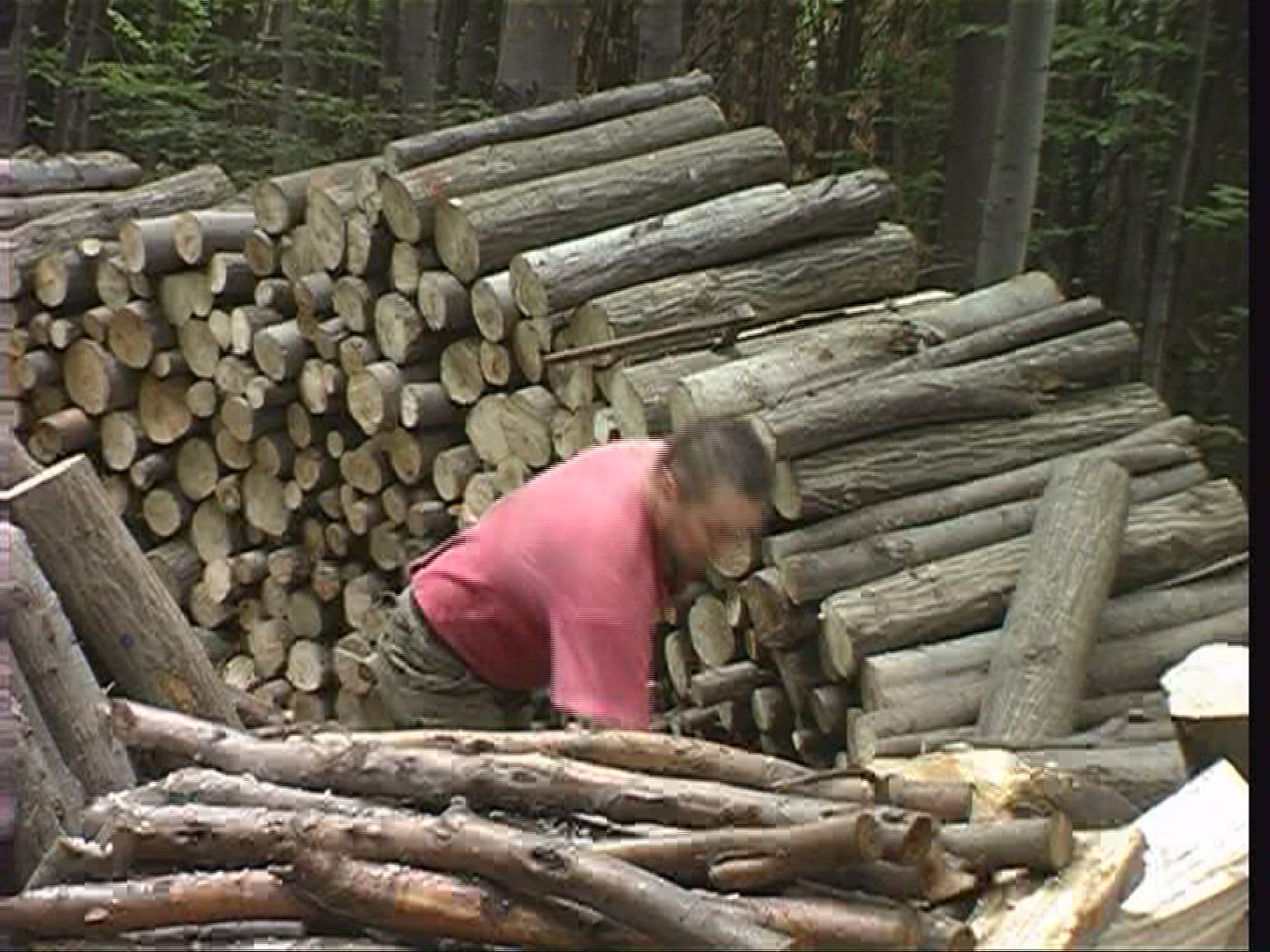 917140519 / Charcoal Pile / Charburning Pile Of Coal / Szalajkatal / Hungary