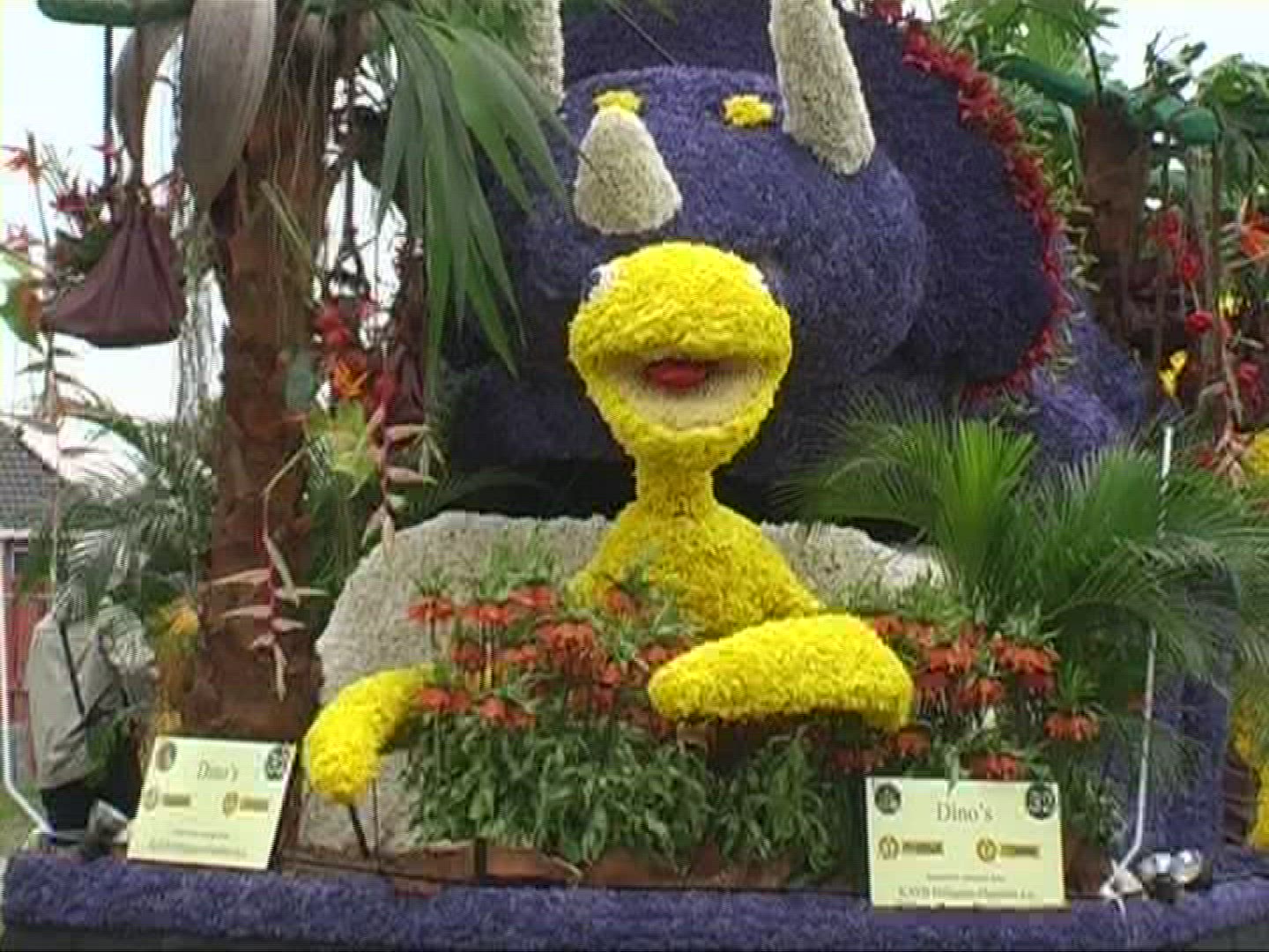 211233986 / Flower / Floral Decorations / Netherlands
