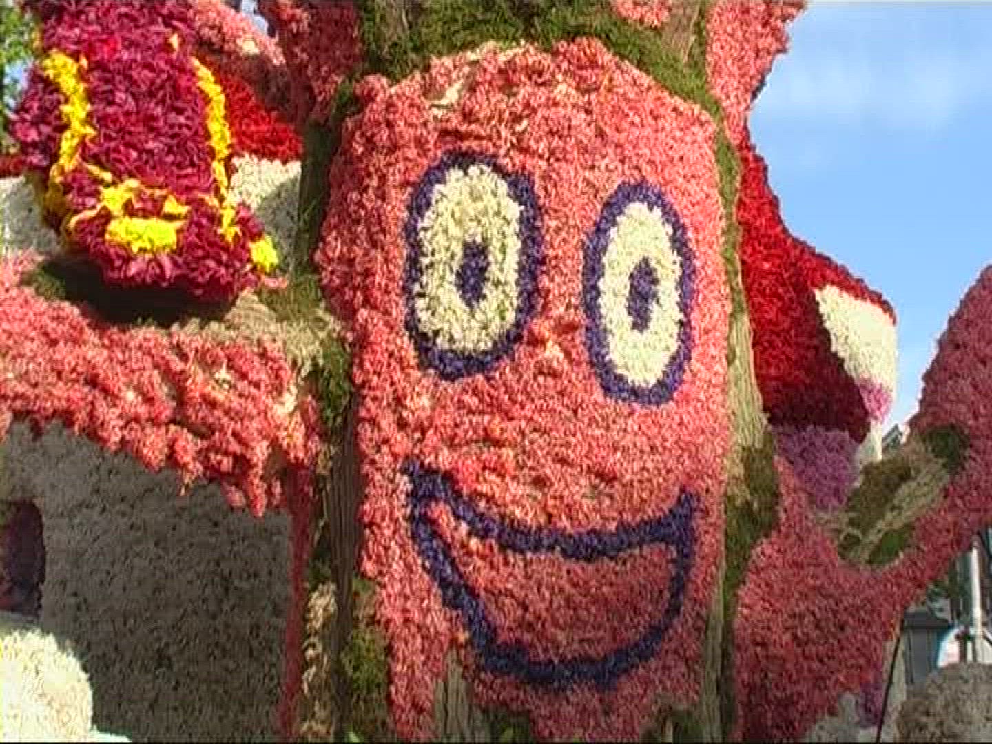 191577856 / Flower / Floral Decorations / Netherlands