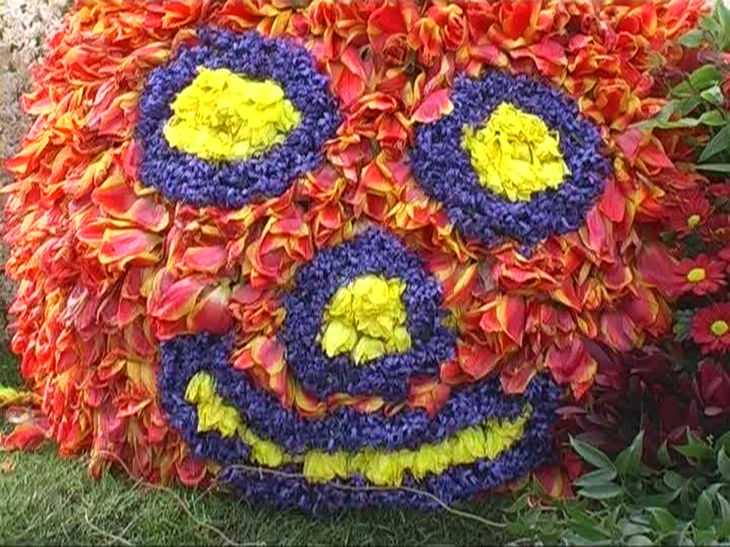 303592753 / Flower / Floral Decorations / Netherlands