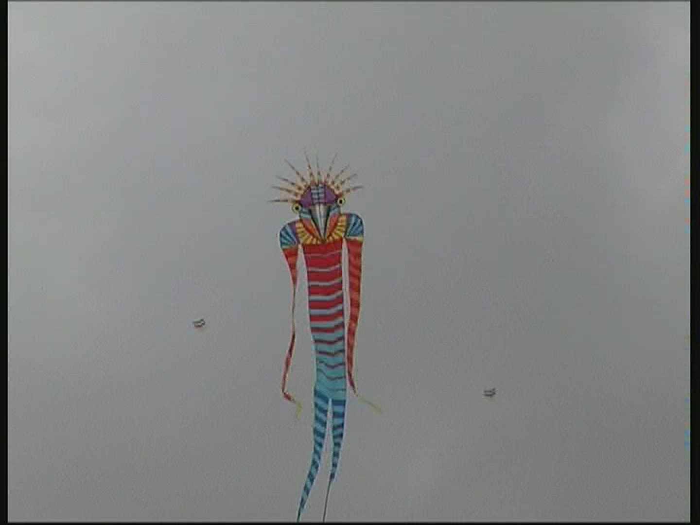 200444141 / Kite Festival / Fanoe / Denmark