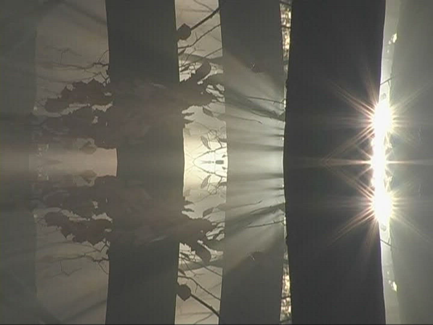 618819027 / Mixed Forest / Sunray / Germany