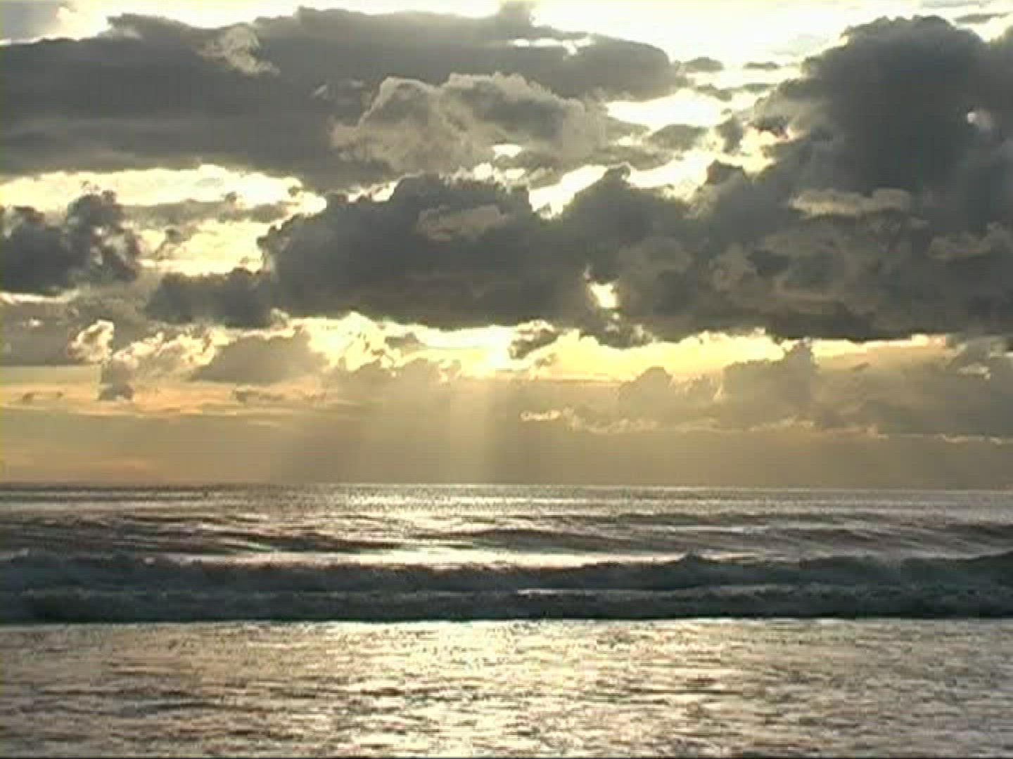 391441334 / Surf / Ligurian Sea / Tuscany / Italy