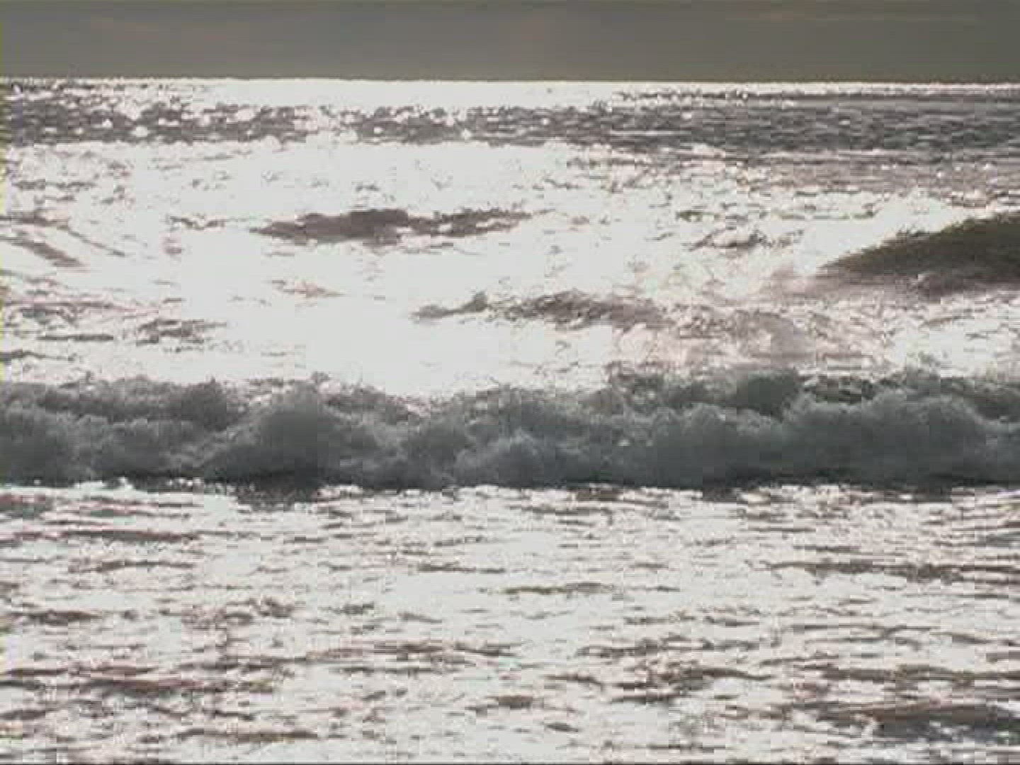 976921743 / Surf / Ligurian Sea / Tuscany / Italy